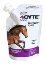 4CYTE HORSE EPIITALIS FORTE GEL