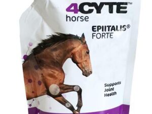 4CYTE HORSE EPIITALIS FORTE GEL