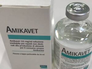 AMIKAVET