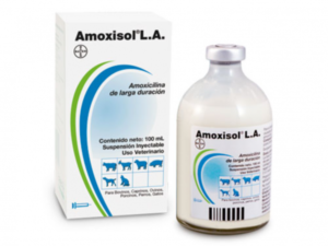 AMOXISOL® LA