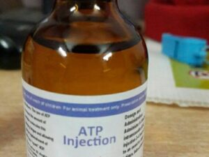 ATP injection