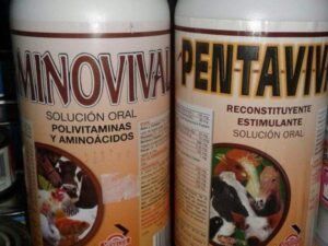 Aminovival Solución Oral