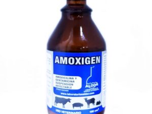 Amoxigen