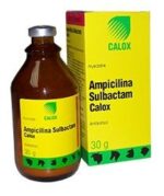 Ampicillin sulbactam