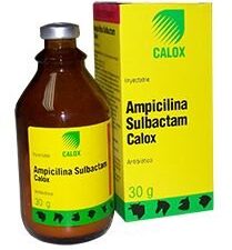 Ampicillin sulbactam