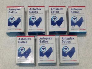 ANTOPLEX GALLOS