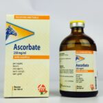 Ascorbate 100 ml