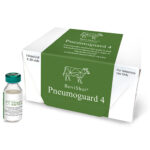 BoviShot® PneumoGuard4