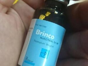 Brinco