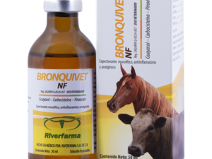 Bronquivet