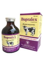 Bupralex Injection