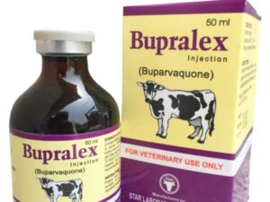 Bupralex Injection