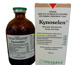 Buy Kynoselen Injection 100mL