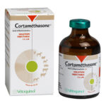 CORTAMETHASONE (VETOQUINOL) – 50ML