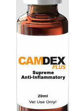 Camdex Plus