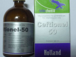 Ceftionel 50