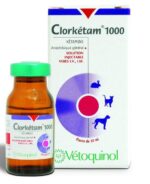 CLORKETAM 1000