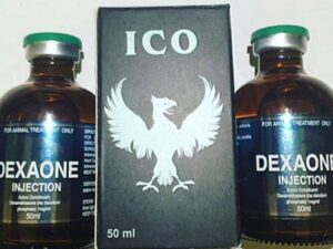 DEXAONE