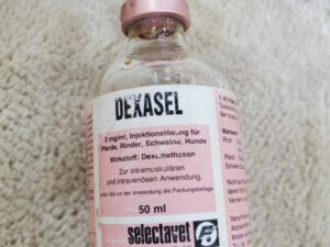 DEXASEL