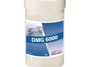 DMG 6000