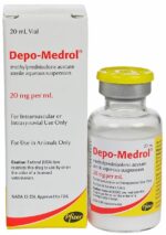 Depo-Medrol Injection for Dogs and Horses