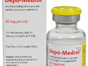 Depo-Medrol Injection for Dogs and Horses