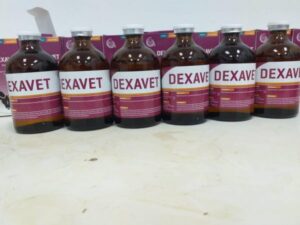 Dexavet