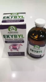 EKYBYL