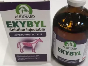 EKYBYL