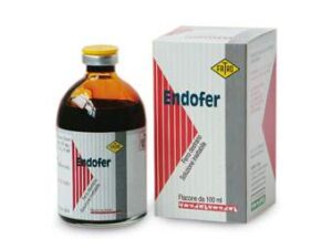 ENDOFER 20