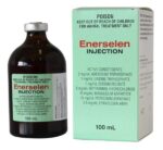 ENERSELEN INJECTION 100ML