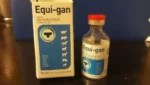 EQUI-GAN