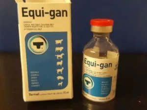 EQUI-GAN