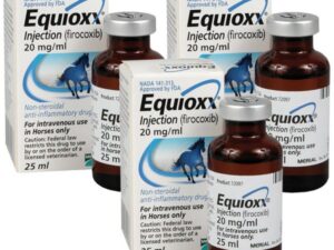 EQUIOXX – 25 ML