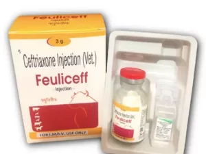 Feuliceff Injection