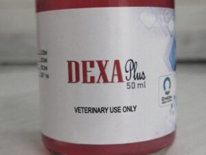 Dexa Plus