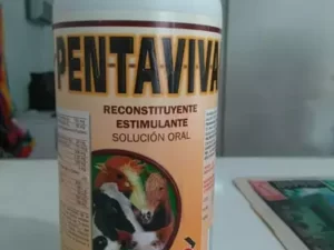 Pentavival Solución Oral