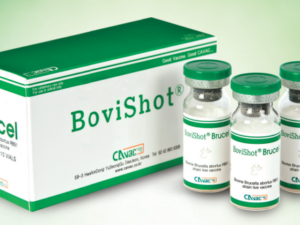 BoviShot® Brucel