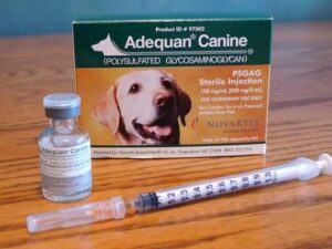 Adequan Canine 2 x 5ml vials